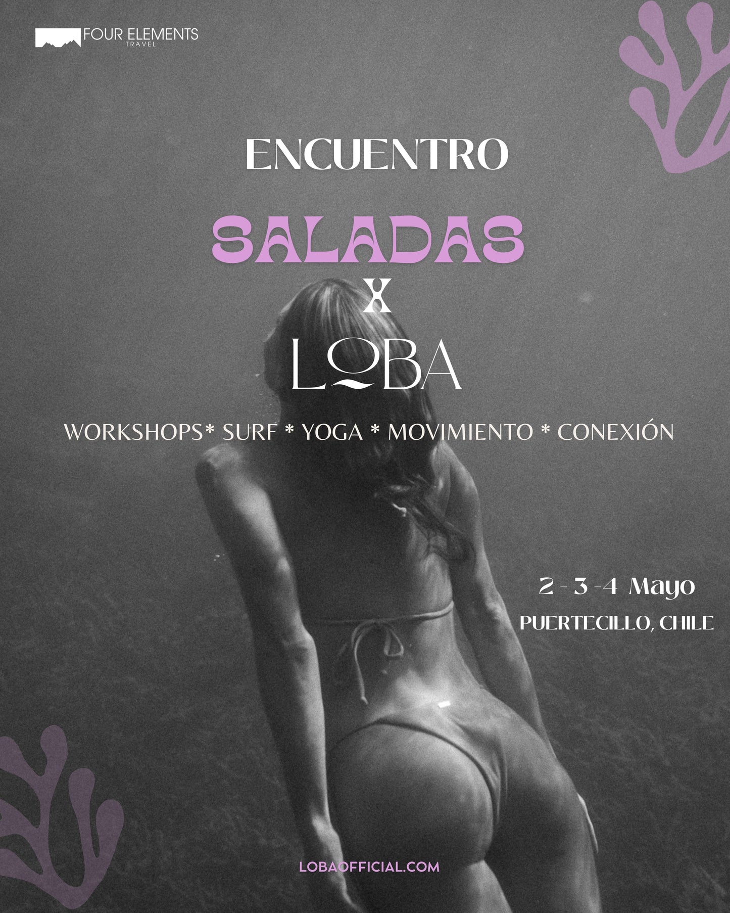 ENCUENTRO SALADAS X LOBA - CHILE